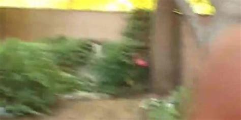 Sweet Party Chicks Licking Pussy And Sucking Hard Cock SweetPartyChicks Tnaflix