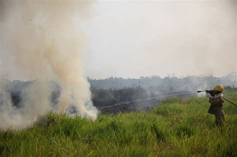 Acre Decreta Situa O De Emerg Ncia Devido Qualidade Do Ar