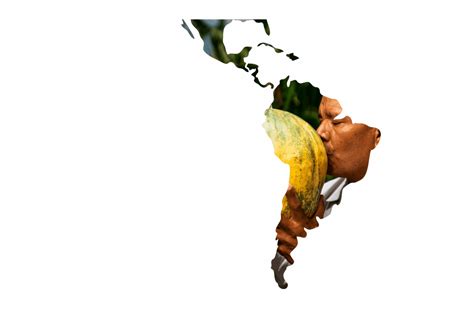 Líder en contribución al desarrollo en América Latina