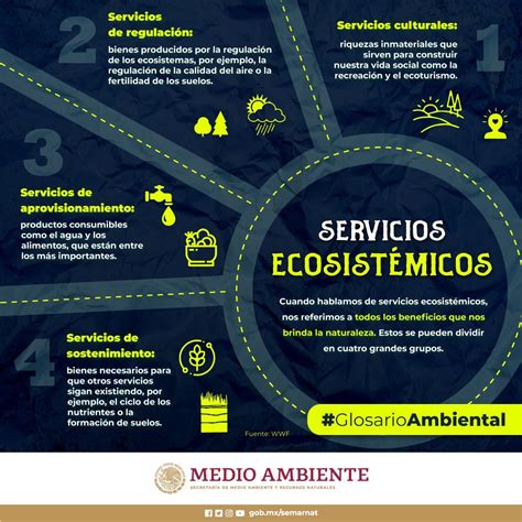 Servicios Ecosistémicos (Infografía)- SEMARNAT – Agua.org.mx