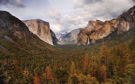 Разновидности Фотографии – Telegraph