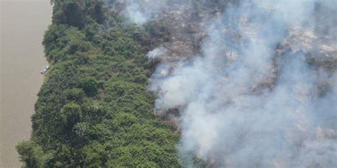 Santa Cruz Registra Cuatro Incendios Forestales Activos En San Matías Y San Ignacio