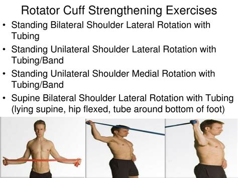 rotator cuff muscles powerpoint    id