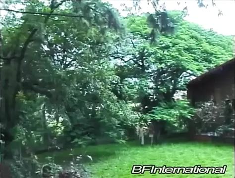 Bisexual Bangs In The Forest Brazilian Blowjob Blowjob Porn XHamster