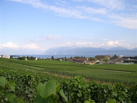 Le Sentier de La Morges Morges Région Suisse