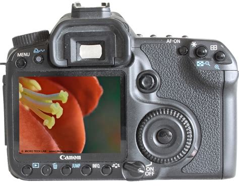Test: The Canon EOS 40D on the microscope – a DSLR classic with an ...