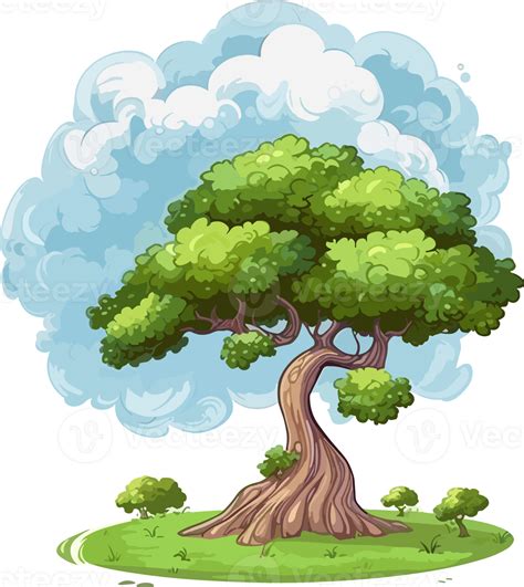 Cypress tree transparent background 24521112 PNG