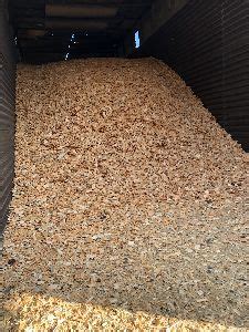 Wood Chips In Usa Wood Chips Manufacturers Suppliers In Usa