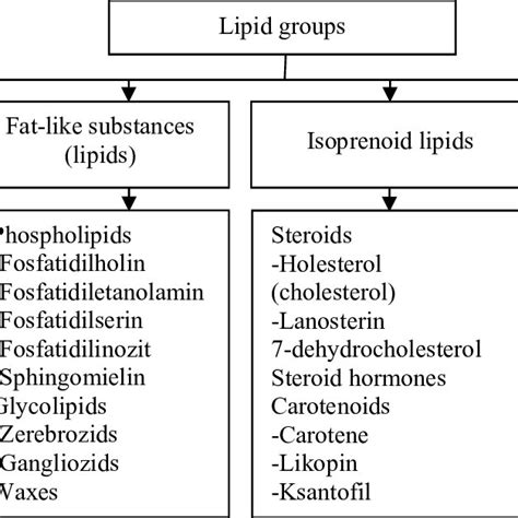 Classification of lipolytic enzymes | Download Scientific Diagram