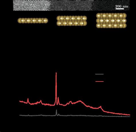 Self Organized Gold Nanoparticle Layers As Surface Enhanced Raman