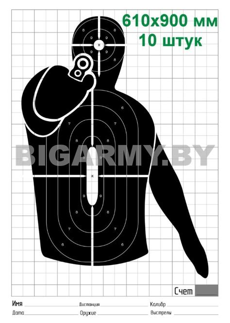 Мишень для стрельбы | BigArmy.by