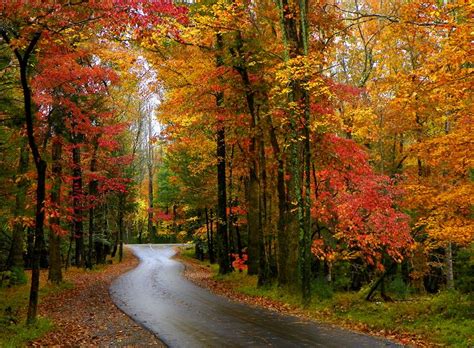 Autumn In The Smoky Mountains Autumn Scenery Scenery Fall Pictures