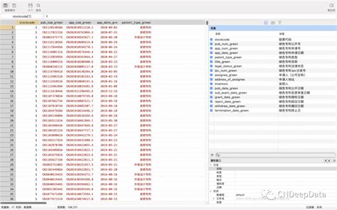 Cndd 中国上市公司创新变量数据合集（全网最全） Cndeepdata