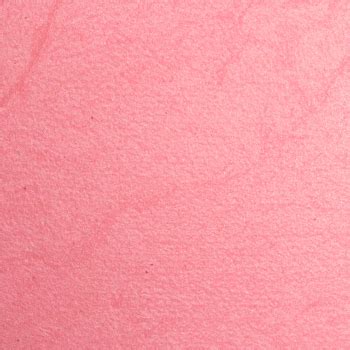 Essence Shimmery Rose Pure Nude Baked Blush Review Swatches