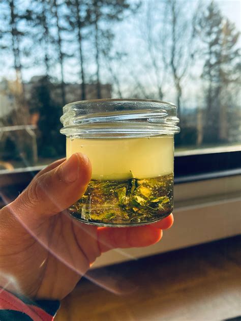 Oxymel Kurs — Gesund mit Natur