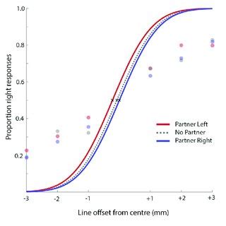 Human Sex Differences In Social And Non Social Looking Preferences At
