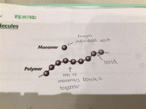 Biological Molecules Flashcards Quizlet