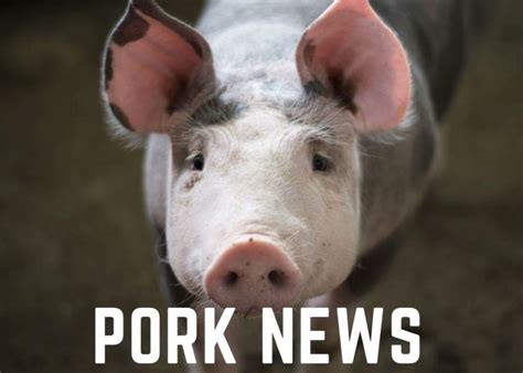 Pork Industry News That Will Put A Smile On Your Face Pork Business