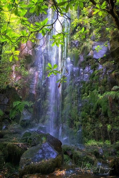 Pin By Miesha Brown On Nature Art Nature Waterfall