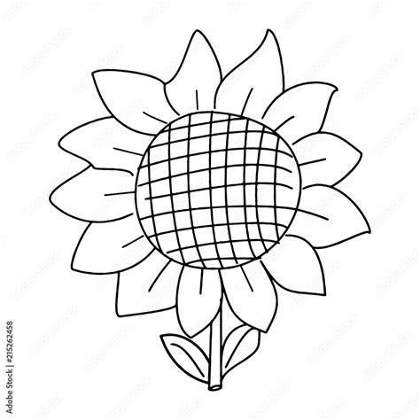 Cartoon sun flower isolated on the white background for children ...