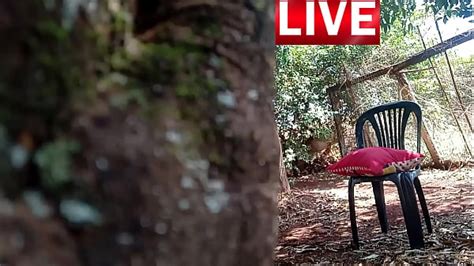 Sexo Irmã Novinha hardcore Video Porno Amador Kabine Das Novinhas