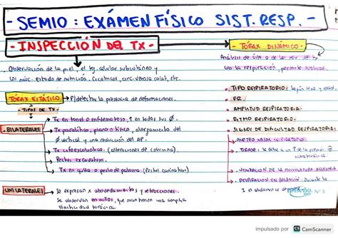 Semiología Examen Físico Sistema Respiratorio Jesi Castro uDocz