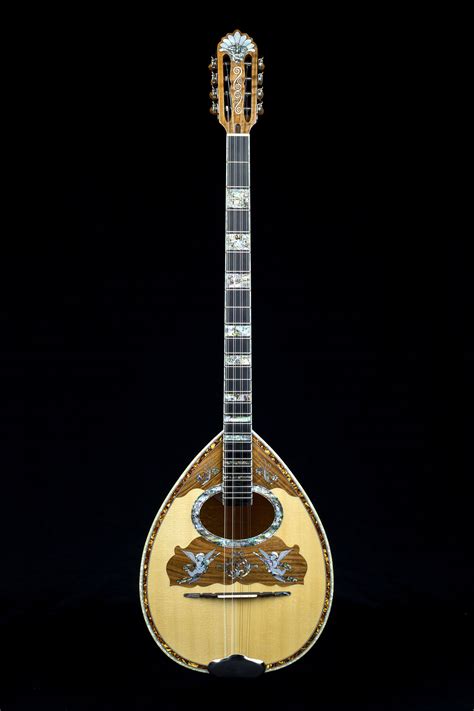 acoustic stringed musical instruments xiloihos hand  musical