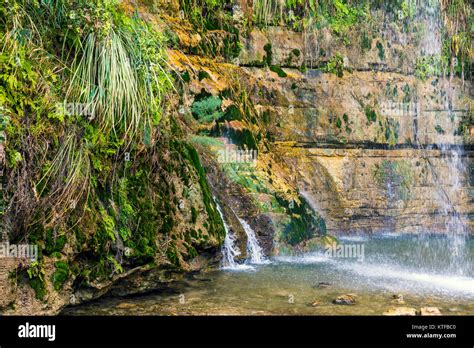 Oasis In Desert Ein Gedi Nature Reserve David Waterfall Israel Stock