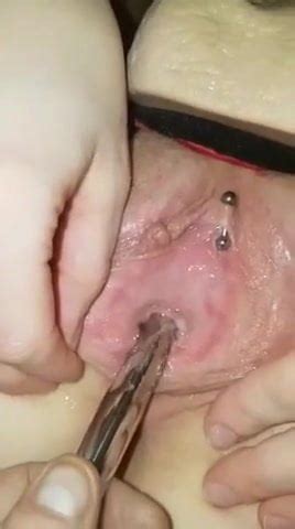 Urethral Sounding Double Penetration Porn D XHamster XHamster