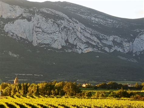 Enoturismo: Sostenibilidad y Competitividad para el Turismo Rural