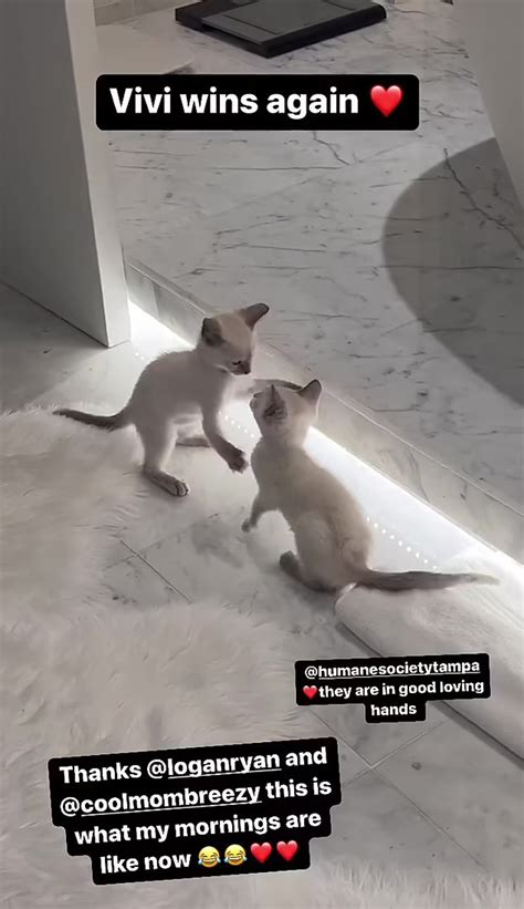 Tom Brady adopts two kittens at daughter Vivian's request