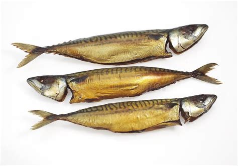 SMOKED MACKERL Scomber Scombrus AGAINST WHITE BACKGROUND Stock Image