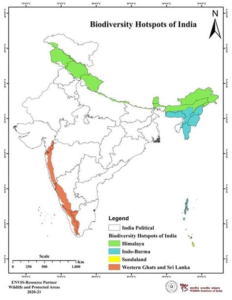 5 Biggest Environmental Issues In India Earth Org