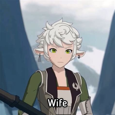 Choose Your Fighter Robyn Hill Edition Gay Disaster