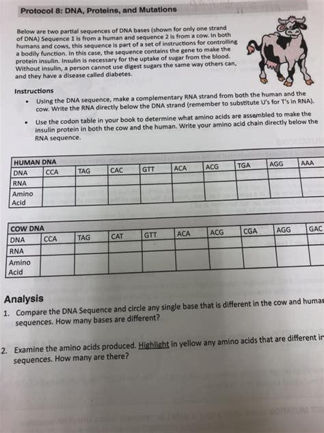 Solved Protocol 8: DNA, Proteins, and Mutations Below are | Chegg.com