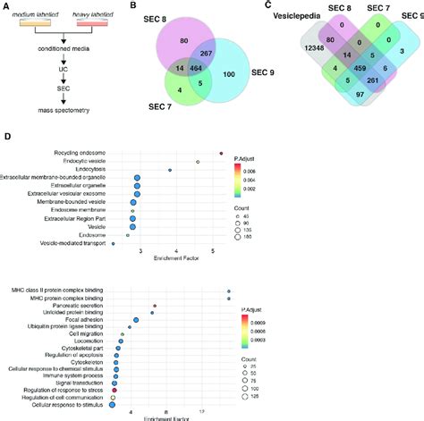 Proteomic Analyses Of S EVs Secreted By Cells With Extra Centrosomes