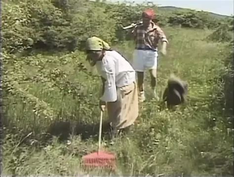 Amateur Paar Fickt Hart Auf Der Wiese Xhamster