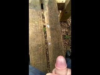 Cum On A Park Bench Gay Man Porn XHamster