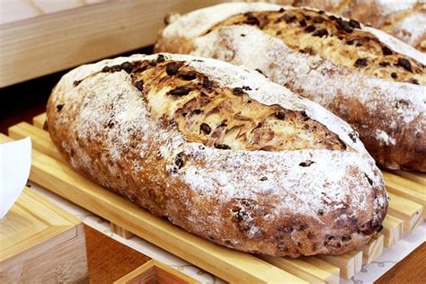 Theory SpongeBob Unraveling The Hidden Depths Of Bikini Bottom OnlineTheories