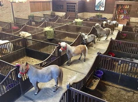 Mini stables for mini horses : r/aww