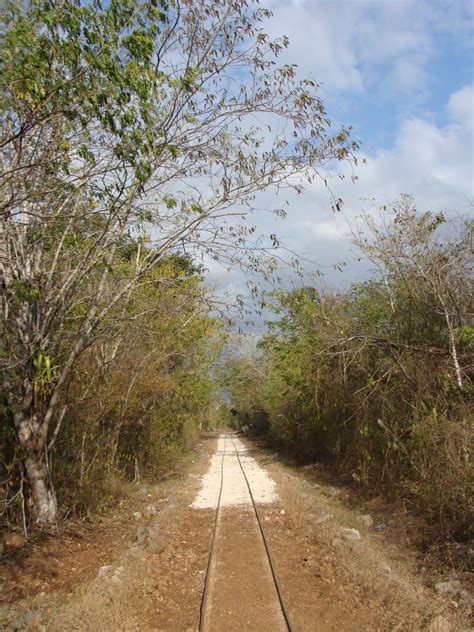 Vias Del Truc Recorrido Para Ver Los Cenotes De Cuzama Vero Cat