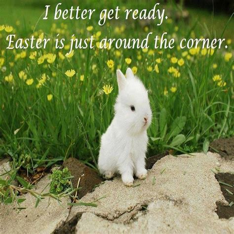 Easter Is Right Around The Corner Pictures, Photos, and Images for ...