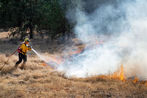 Fire crews increase containment on Palisades Park fire on Sunday | The ...