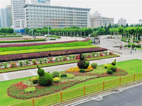 立体花坛：“神鸟共话”立体花坛夺取“中国昆明立体花坛”全国金奖、a类（核心展位）第一名武汉市园林生态集团有限公司园林景观生态治理苗木花卉