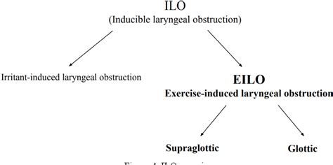 Figure 1 from Voice Disorders and The Perceived Effects of Speech and