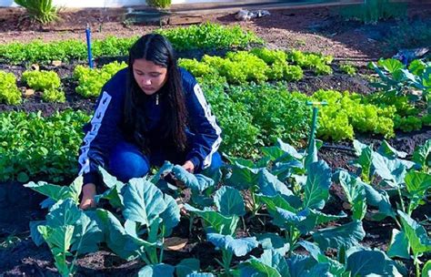 Escola estadual de tempo integral envolve estudantes na produção de