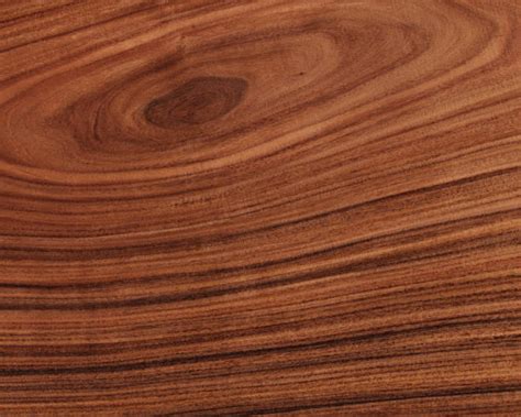 Brazilian Rosewood Texture