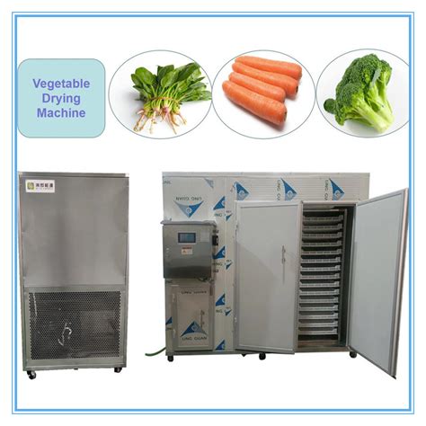 Commercial Samll Heat Pump Dehydrator Vegetables Drying Chamber China