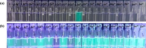 Naked eye observation under UV light 365 nm Probe 1 6 88 µM in Download Scientific Diagram