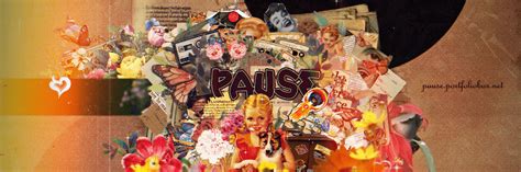 theme designs  behance